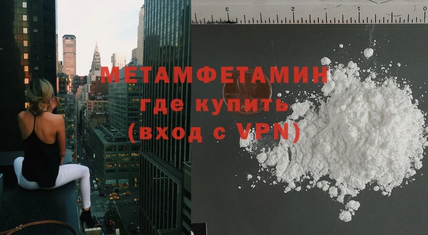 прущие грибы Нея