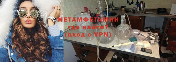 прущие грибы Нея