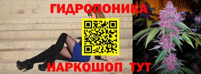 прущие грибы Абинск