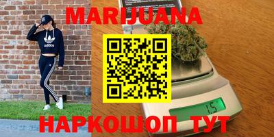 прущие грибы Абинск