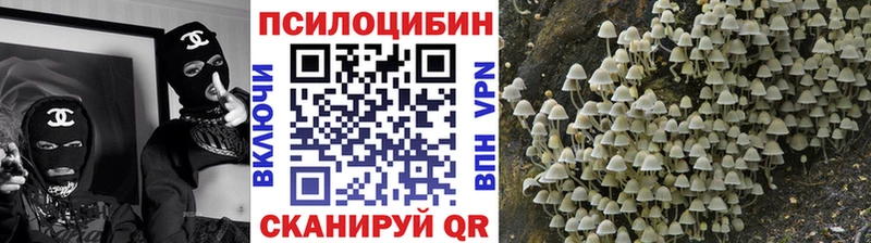 Псилоцибиновые грибы MAGIC MUSHROOMS  Благовещенск 
